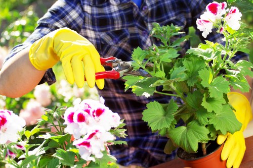 Secure payments banner for gardening services in Pimlico