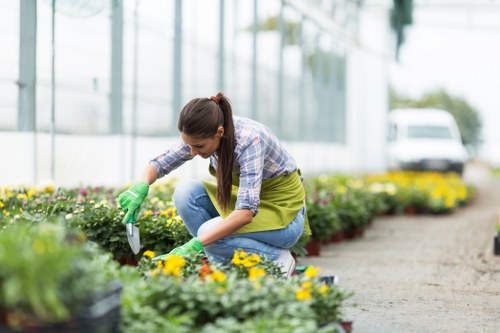 Mulched wood chips and compost being used in a sustainable garden