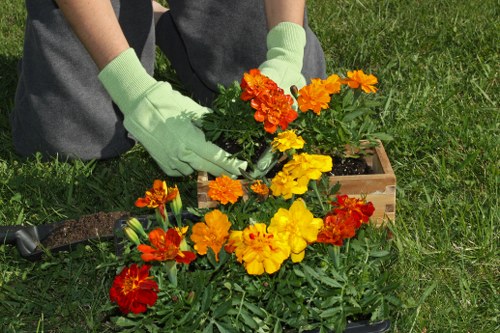Gardener arranging tools in a Pimlico front garden